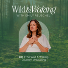 thumbnail graphic for 183 | The Wild & Waking Journey: Unraveling