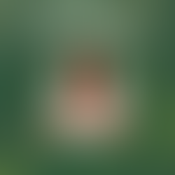 thumbnail graphic for 183 | The Wild & Waking Journey: Unraveling