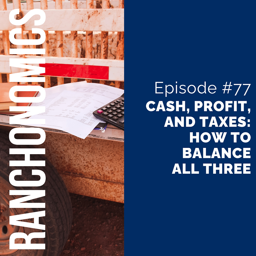 thumbnail graphic for Cash, Profit, and Taxes: How to Balance All Three [episode 77]
