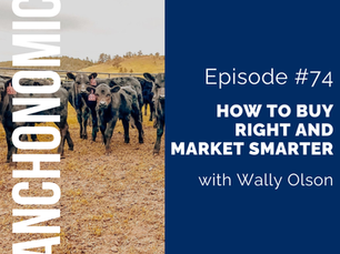 thumbnail graphic for How to Buy Right and Market Smarter with Wally Olson [episode 74]