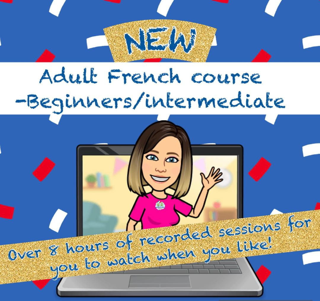Beginner / intermediate online adult course