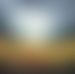 Flowers grow in the valley