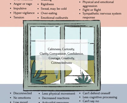 Window of Tolerance