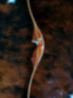 Thumbnail: Hybrid Longbow "Hoo-dini"