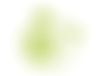 Official: YoYo WHIMZZIPCE is Now a Registered Brand!