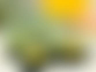 Chương trình chào mừng Ngày Nhà giáo Việt Nam