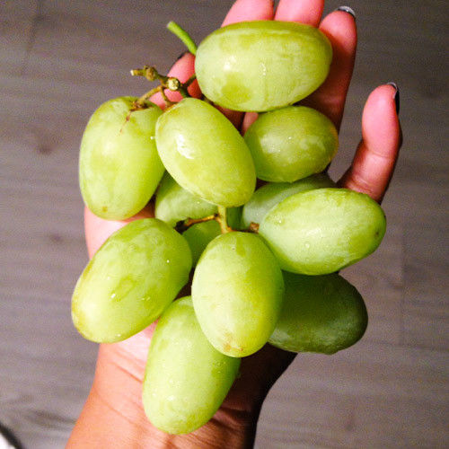 Миниатюра: Киш-Миш Ленд Крузер