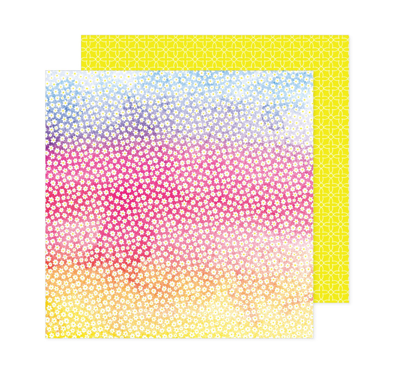 Paige Evans Adventurous Collection No. 15