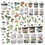 Thumbnail: Vintage Artistry Nature Study Specimen Acetate Shapes