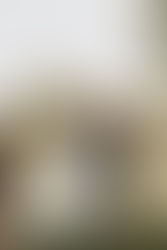 Christy + Anthony 10.7.2023