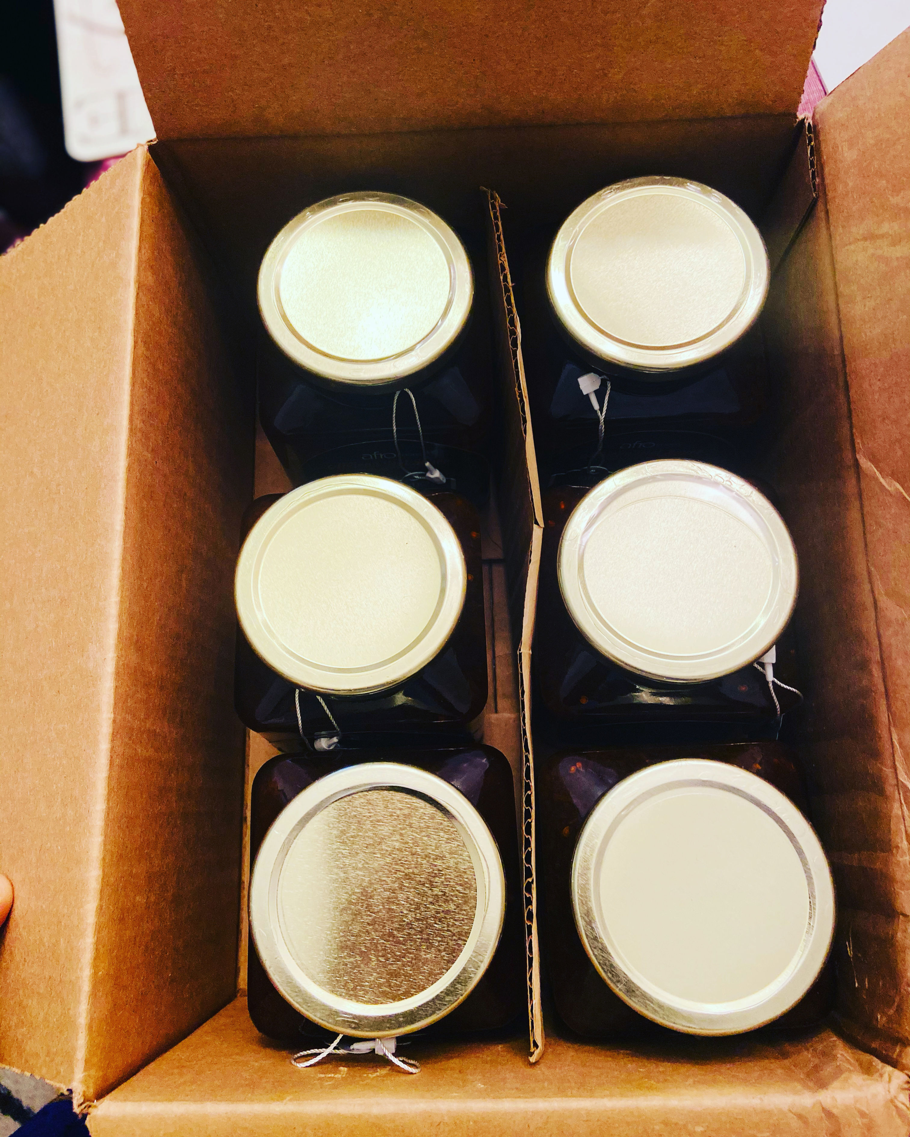 19oz Shito Mega Box