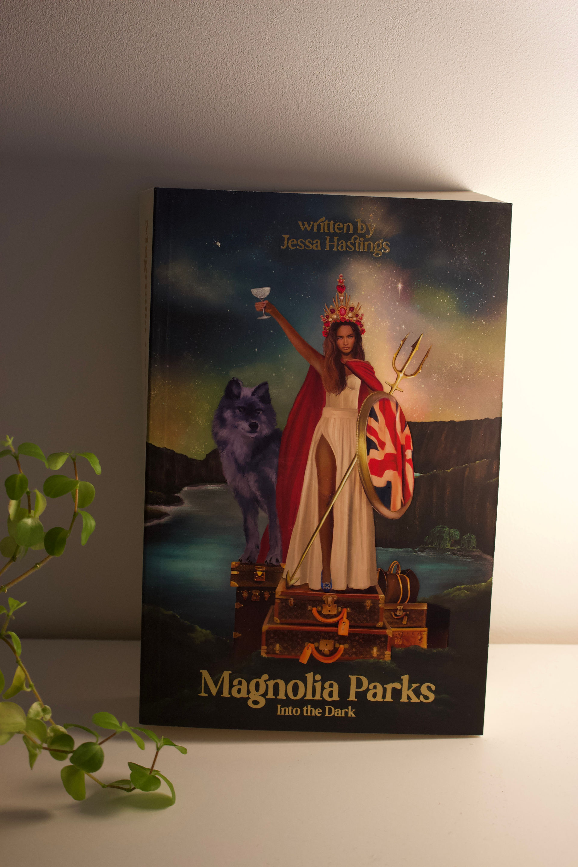 Cover of Magnolia Parks: Into the Dark by Jessa Hastings featuring dark, moody elements with a rich design that reflects the book's emotional depth.