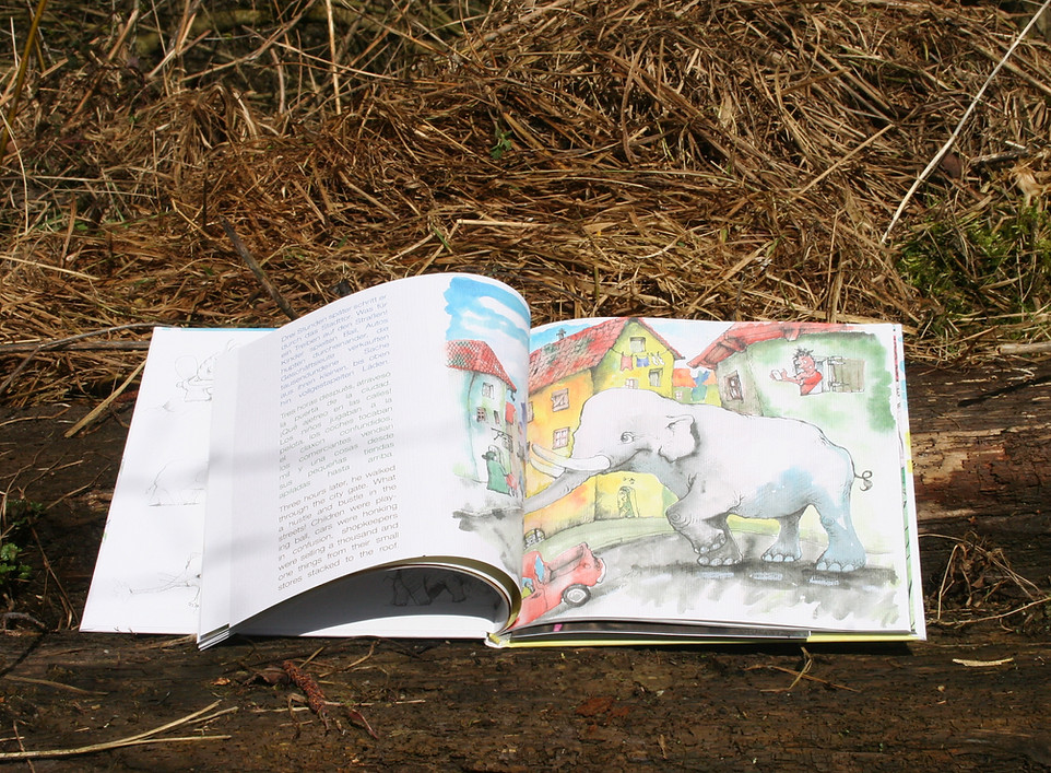 Seite Buch