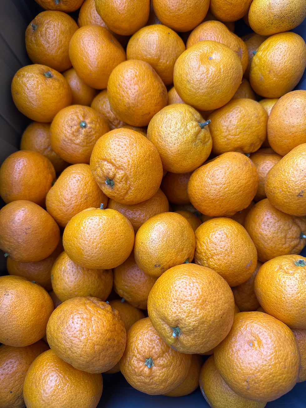 Satsumas locales- por libra