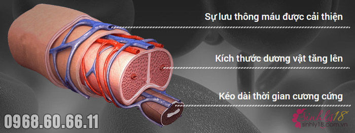 cách nào để tăng kích thước dương vật