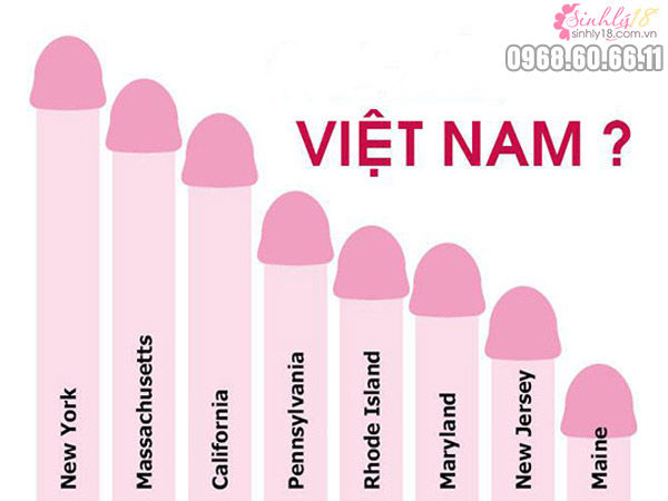 Kích thước dương vật trung bình của người Việt Nam là bao nhiêu