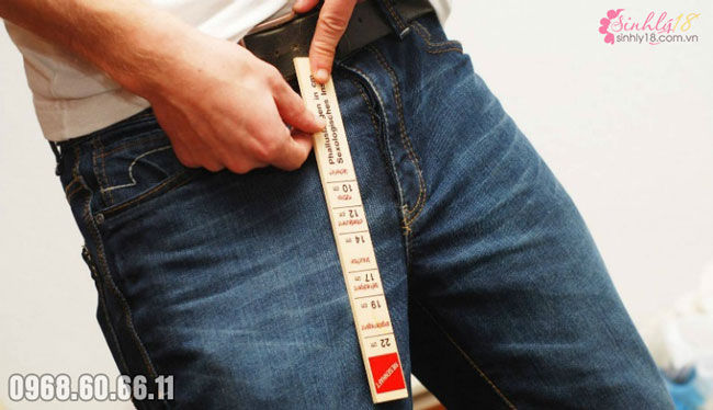 Kích thước dương vật của người bình thường ra sao