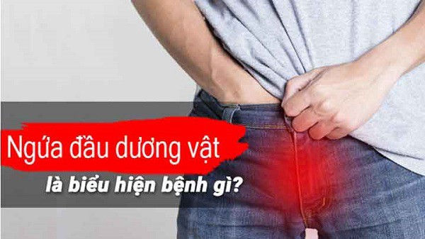Nguyên nhân và cách điều trị bệnh ngứa dương vật ở nam giới 