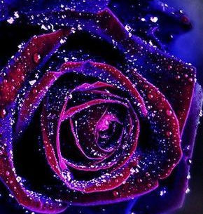 Adios! Till We Meet Again