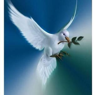 Farewell! A Dove Has Flown