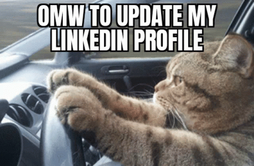 TikTok, Twitter, LinkedIn - Who's Winning The Race?
