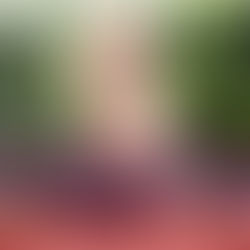 🧁 are you craving a yummy brand?