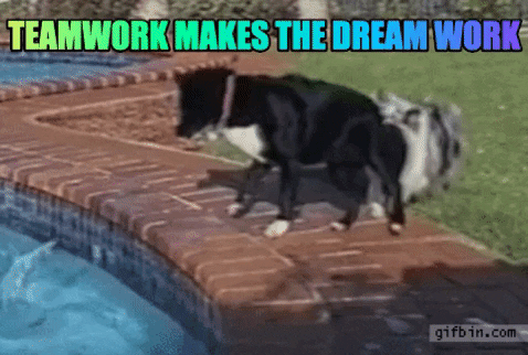 The trifecta - saving you time, money, and energy