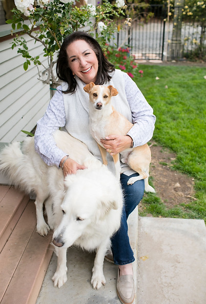 deb7dogs.jpeg