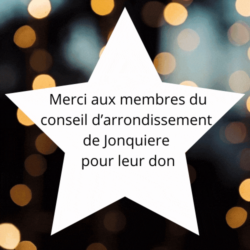 Conseil d’arrondissement de Jonquiere.gi