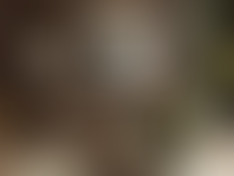 Dabiskie toņi un dziļi akcenti - interjera krāsu izvēle 2026. gadā