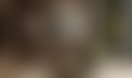 Dabiskie toņi un dziļi akcenti - interjera krāsu izvēle 2026. gadā