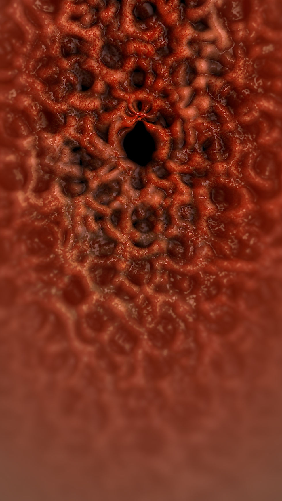 Morphologytest3gstill2.jpg