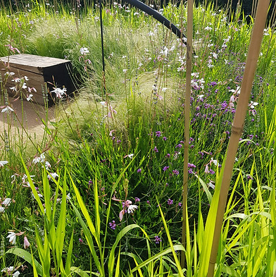 20210622_175249.jpg