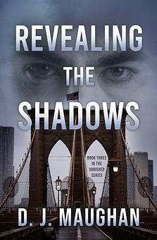 revealing the shadows ebook_edited.jpg