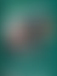 Christmas Afternoon ライブ&セッション