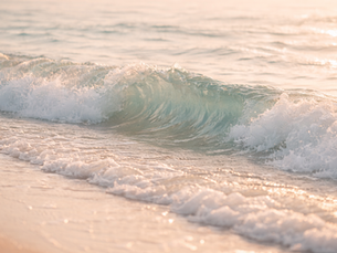 A wave in the sea in the golden hour.