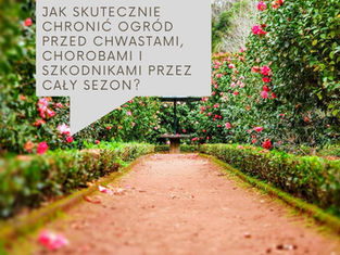 Jak skutecznie chronić ogród przed chwastami, chorobami i szkodnikami przez cały sezon?