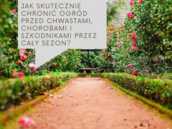 Jak skutecznie chronić ogród przed chwastami, chorobami i szkodnikami przez cały sezon?