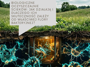 Biologiczna oczyszczalnia ścieków – działanie, bakterie i skuteczność