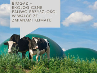 Biogaz – ekologiczne paliwo przyszłości w walce ze zmianami klimatu 