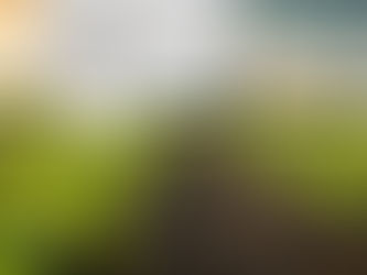 Planowanie zasiewów: jak unikać strat materiału siewnego?