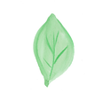 ダウンロード (2).png