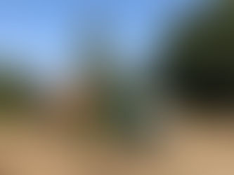 Changes in Our Farming