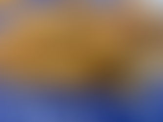 Chef Gianluca Deiana Abis: Pollo Con Cipolle/ Venetian Chicken