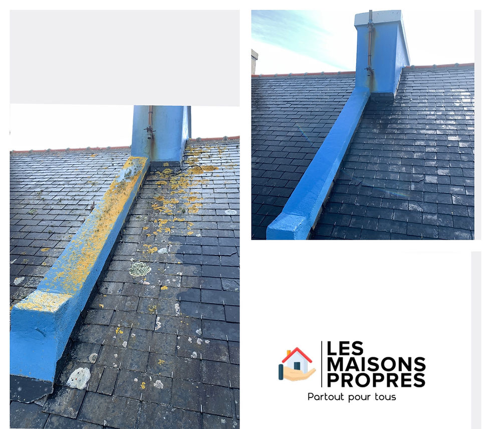 Miniature : Nettoyage façade, murs, pignon, terrasse, toiture…