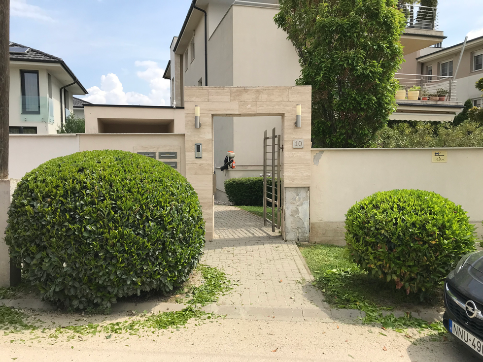IMG_1285.HEIC