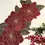 Thumbnail: Christmas handmade table runner, floral beaded Poinsettia runner, 13x36inch