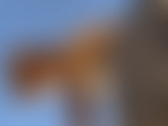 Stage de danse avec Lauren Lecrique à Cabasse — 20, 21 et 22 octobre