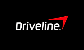 DL logo_edited_edited.jpg