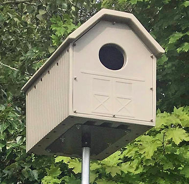 Photo Feb 27 2024, 7 52 20 PM (5).jpg